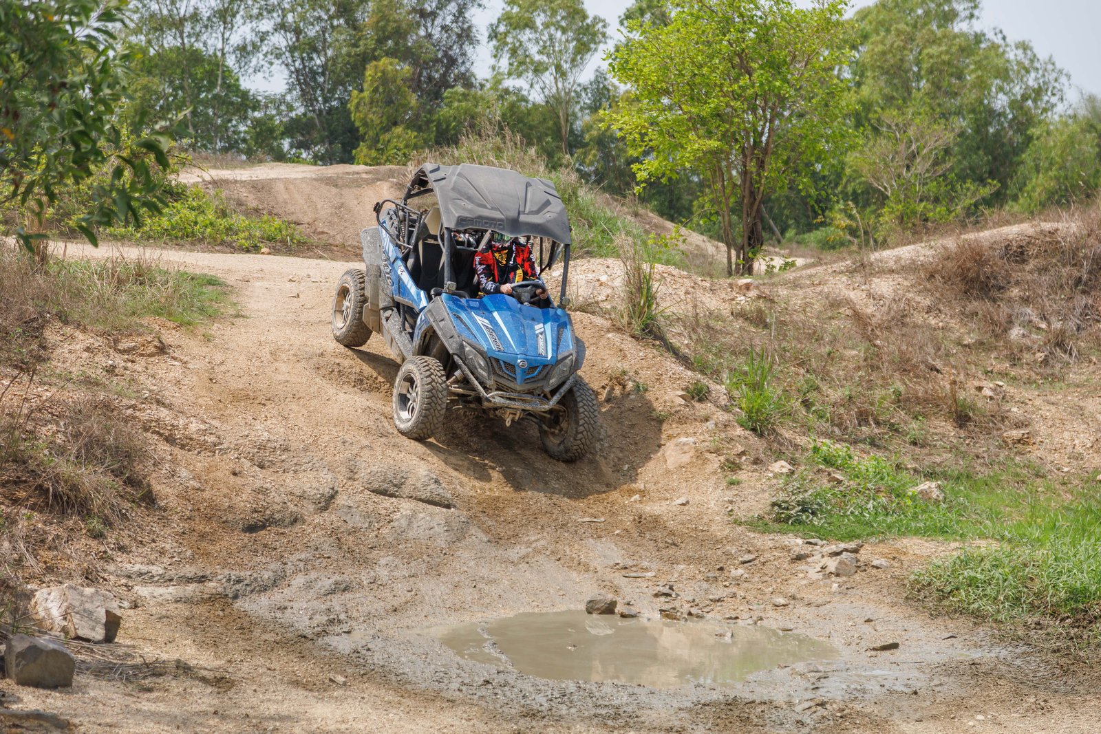 BUGGY TOURS