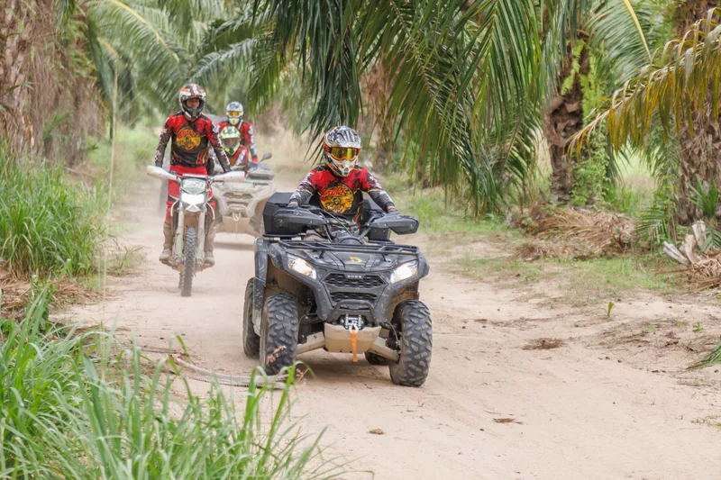 ATVs travelling along a palm-lined trail
