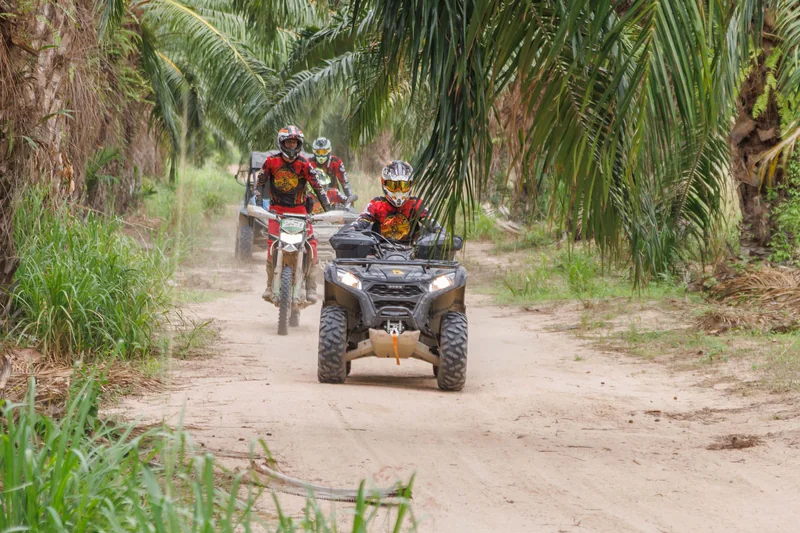 Two dirt bikes and an ATV travelling along a palm-lined trail